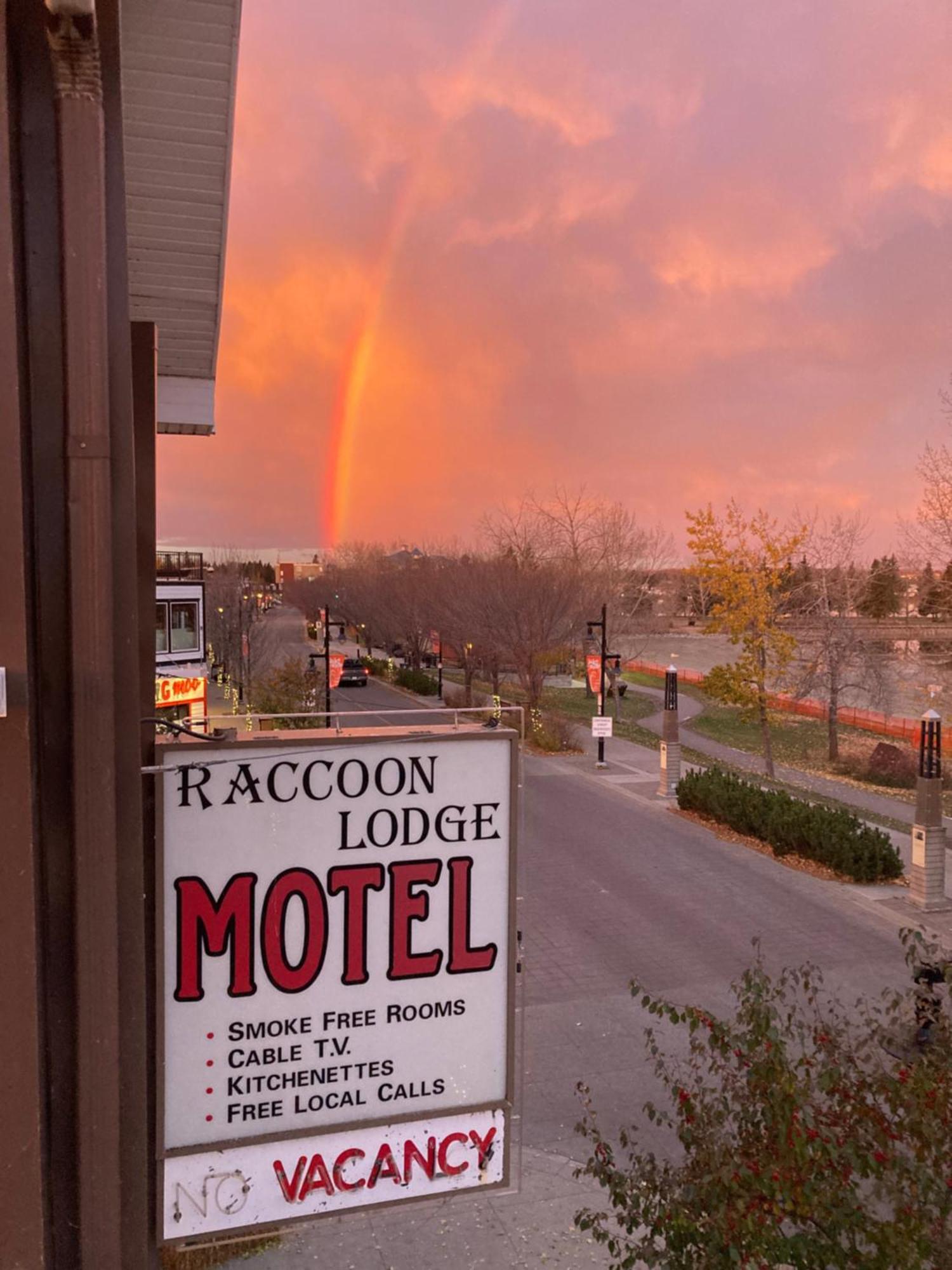 Raccoon Lodge Motel Sylvan Lake Zewnętrze zdjęcie